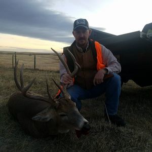 Meet your Posher, Todd